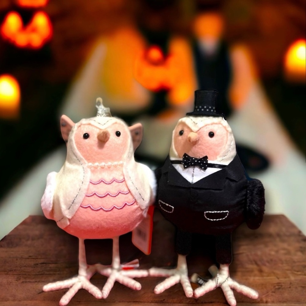 Target Birds